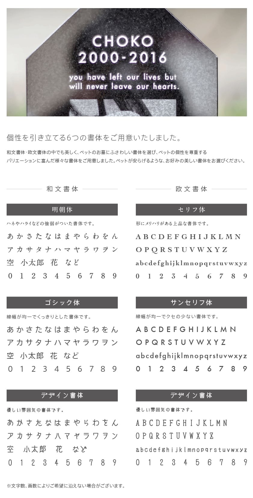 Petcoti L ペットコティL