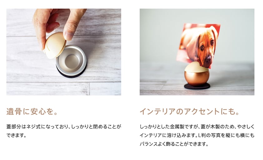Pictuary sphere ピクチュアリー スフィア