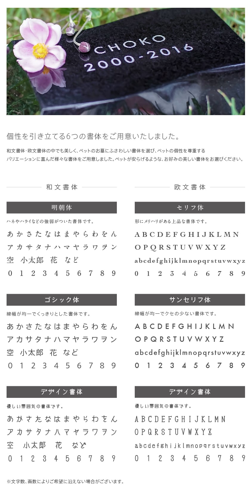 波石 Nami-ishi Mサイズ ブラック