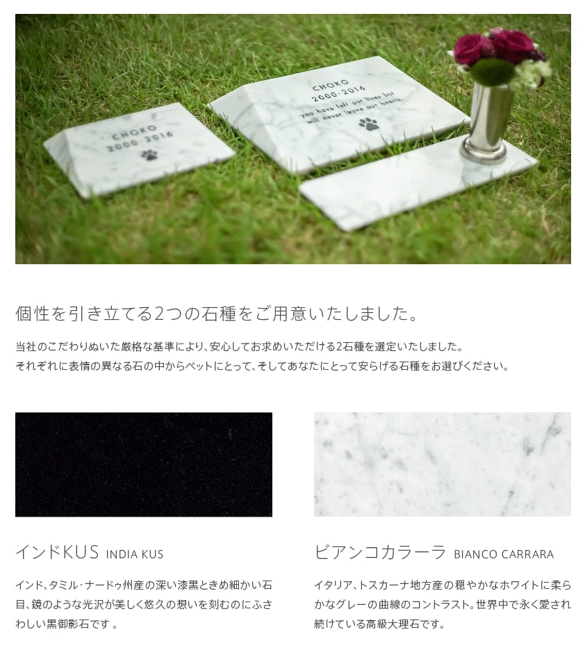 石錐 Seki-sui Lサイズ ホワイト