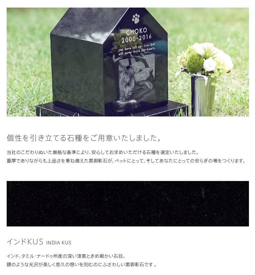 Petcoti L ペットコティL
